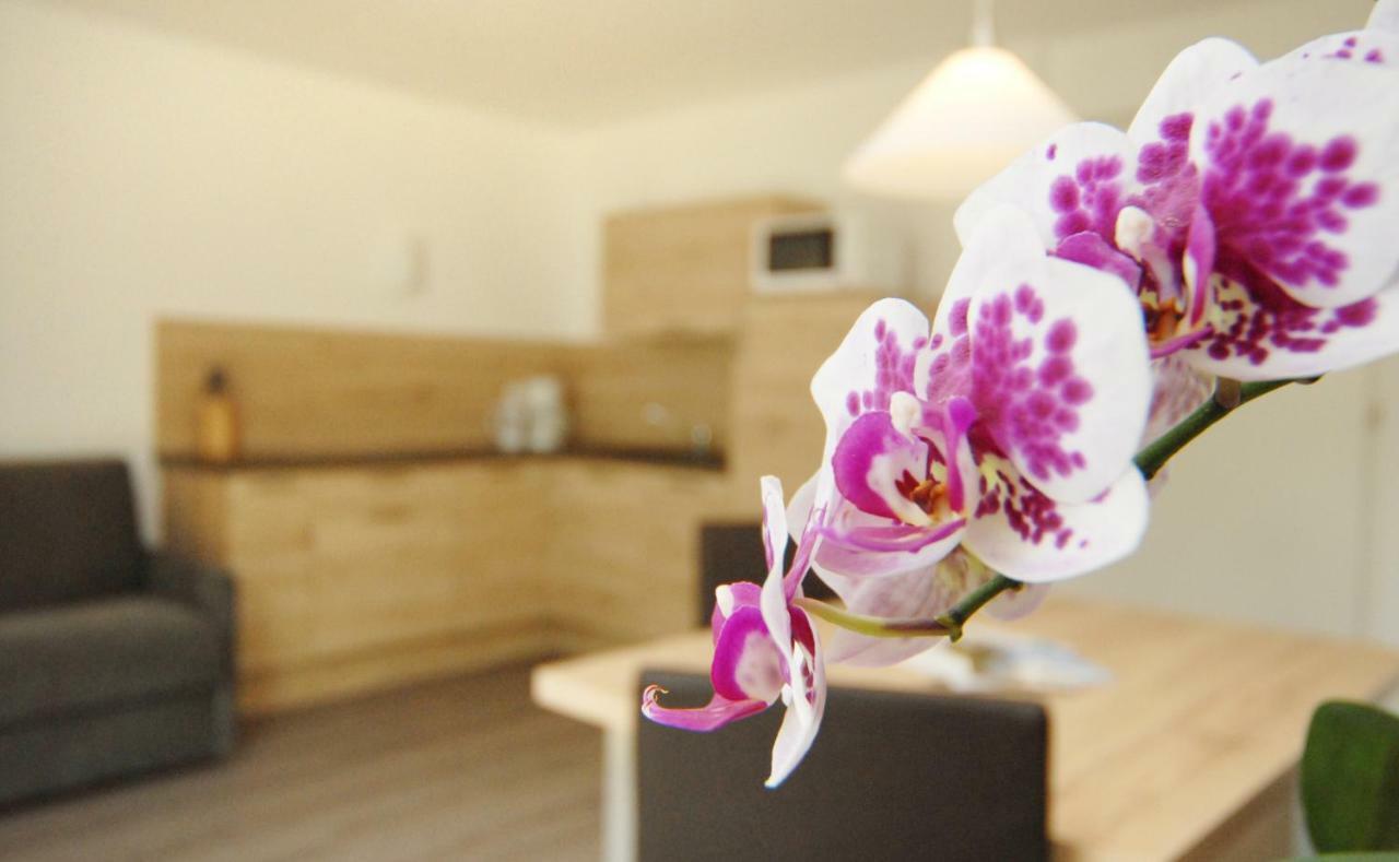Appartment Charly 시우시 외부 사진